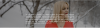 image_0.png