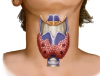 image_0.png