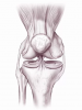 image_0.png