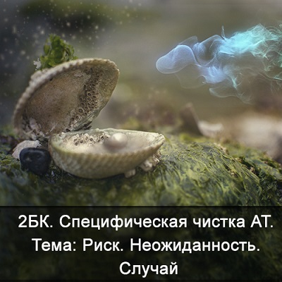 248-jpg.1081329